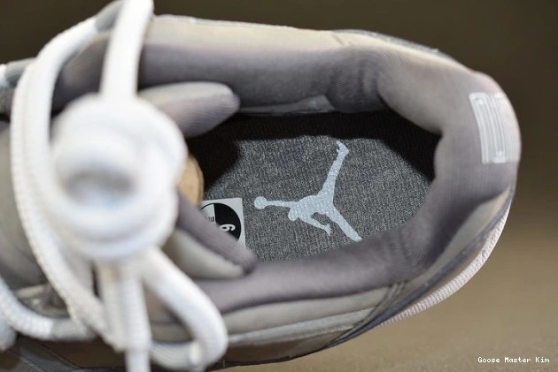 11 Air Grey Jordan Cool Low 528895-003 0820